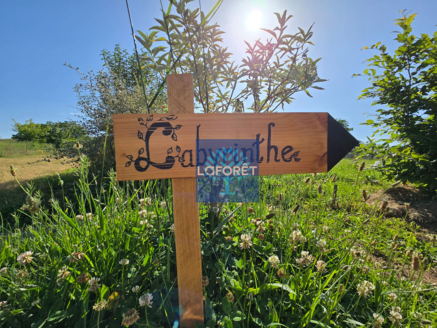 VENTE - Local - SOUTERNON (42260) - 750000 €