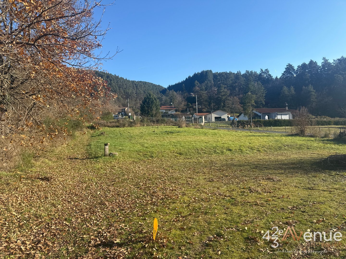 VENTE - Terrain - ST MAURICE DE LIGNON (43200) - 39000 €