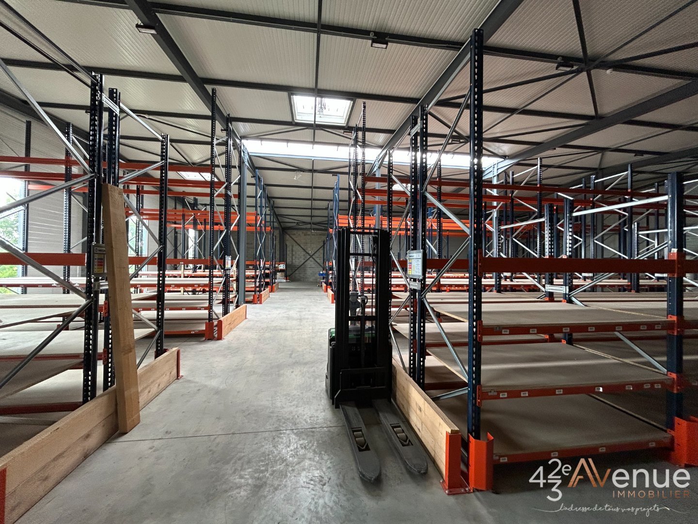 VENTE - Local - BAS EN BASSET (43210) - 790000 €
