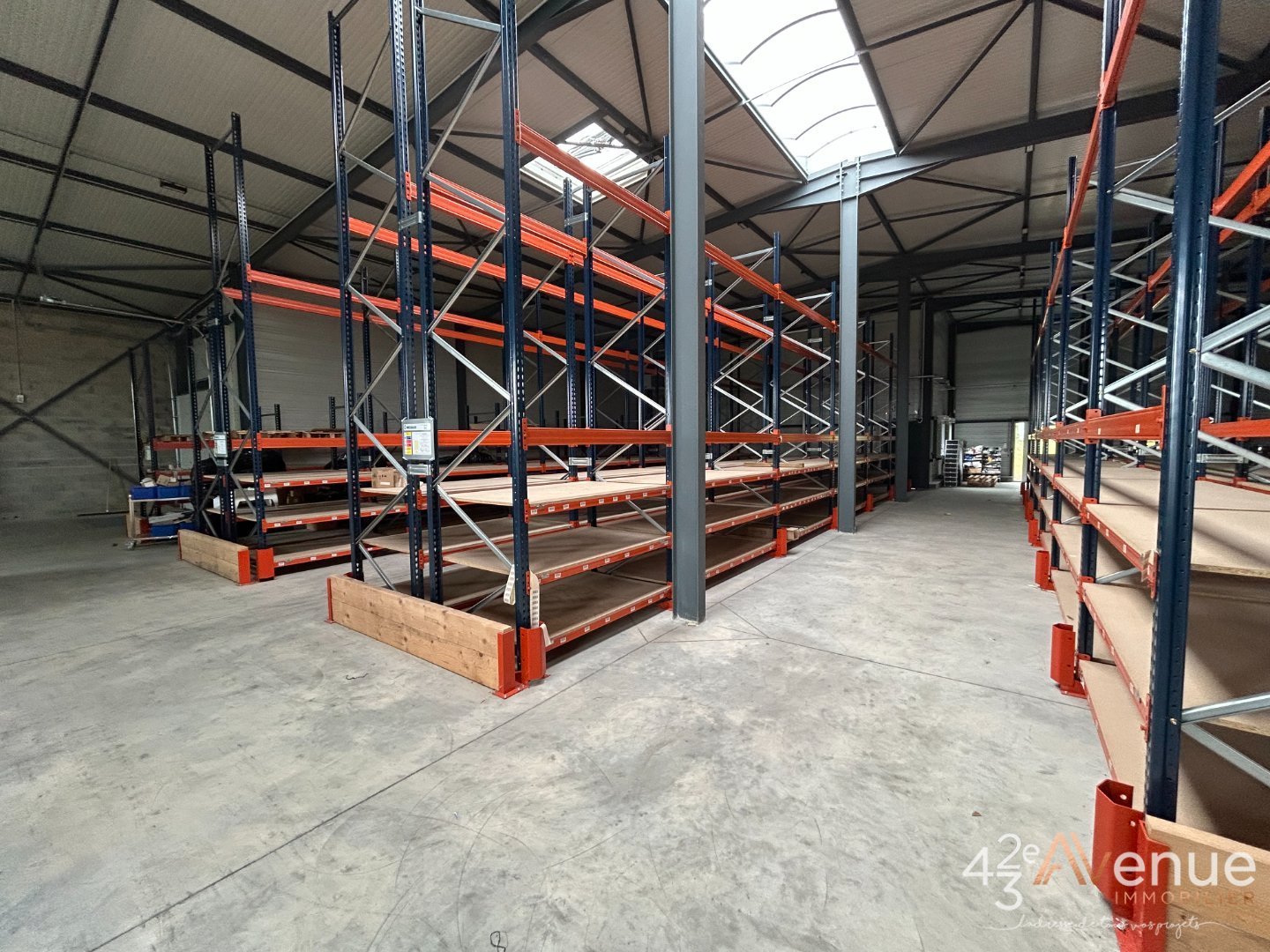 VENTE - Local - BAS EN BASSET (43210) - 790000 €