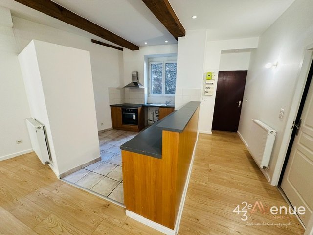 LOCATION - Appartement - ST ETIENNE (42000) - 690 €