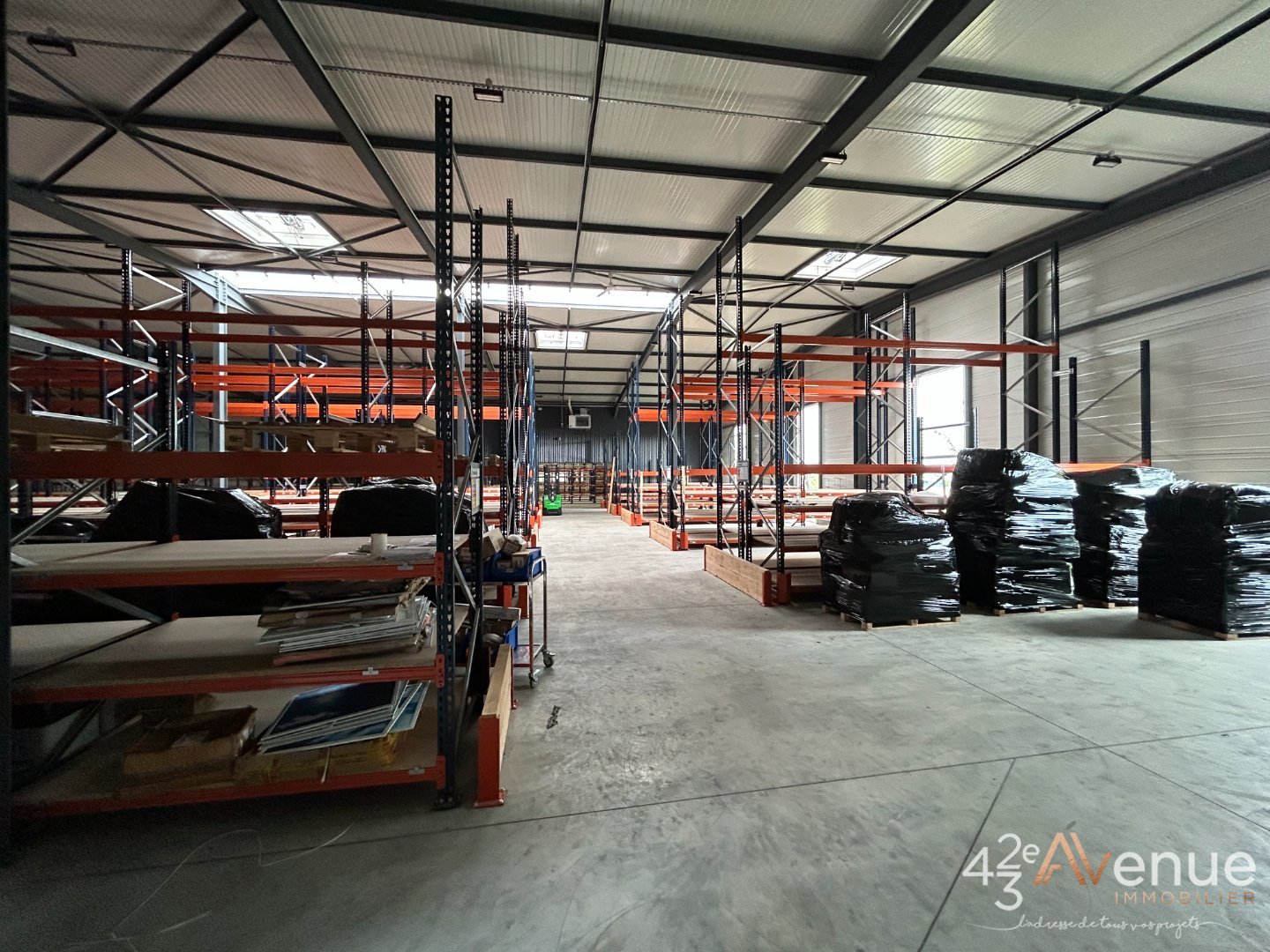 VENTE - Local - BAS EN BASSET (43210) - 790000 €