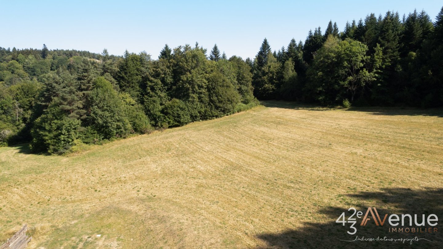 VENTE - Maison/villa - TENCE (43190) - 540000 €