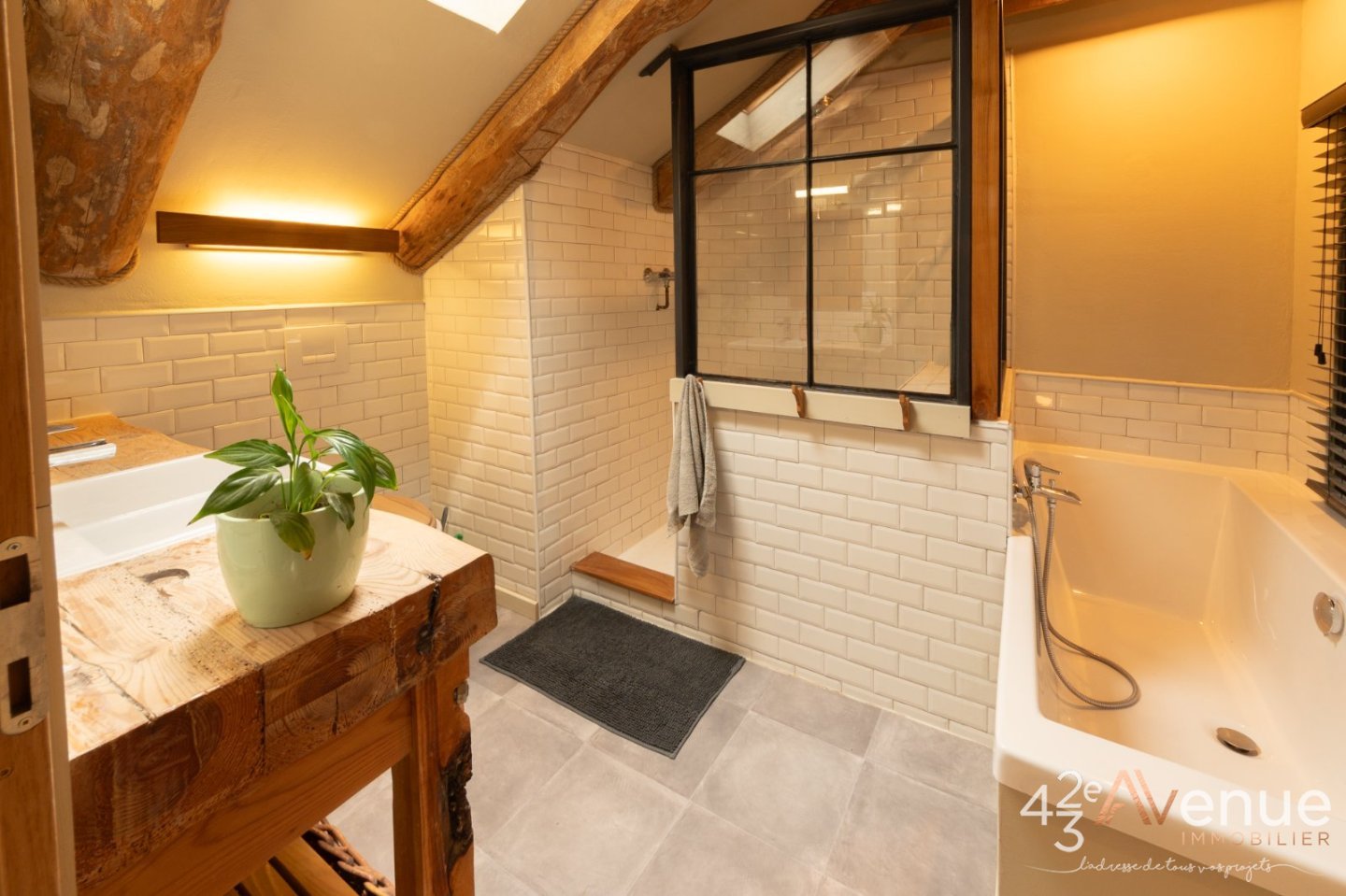 VENTE - Maison/villa - TENCE (43190) - 540000 €