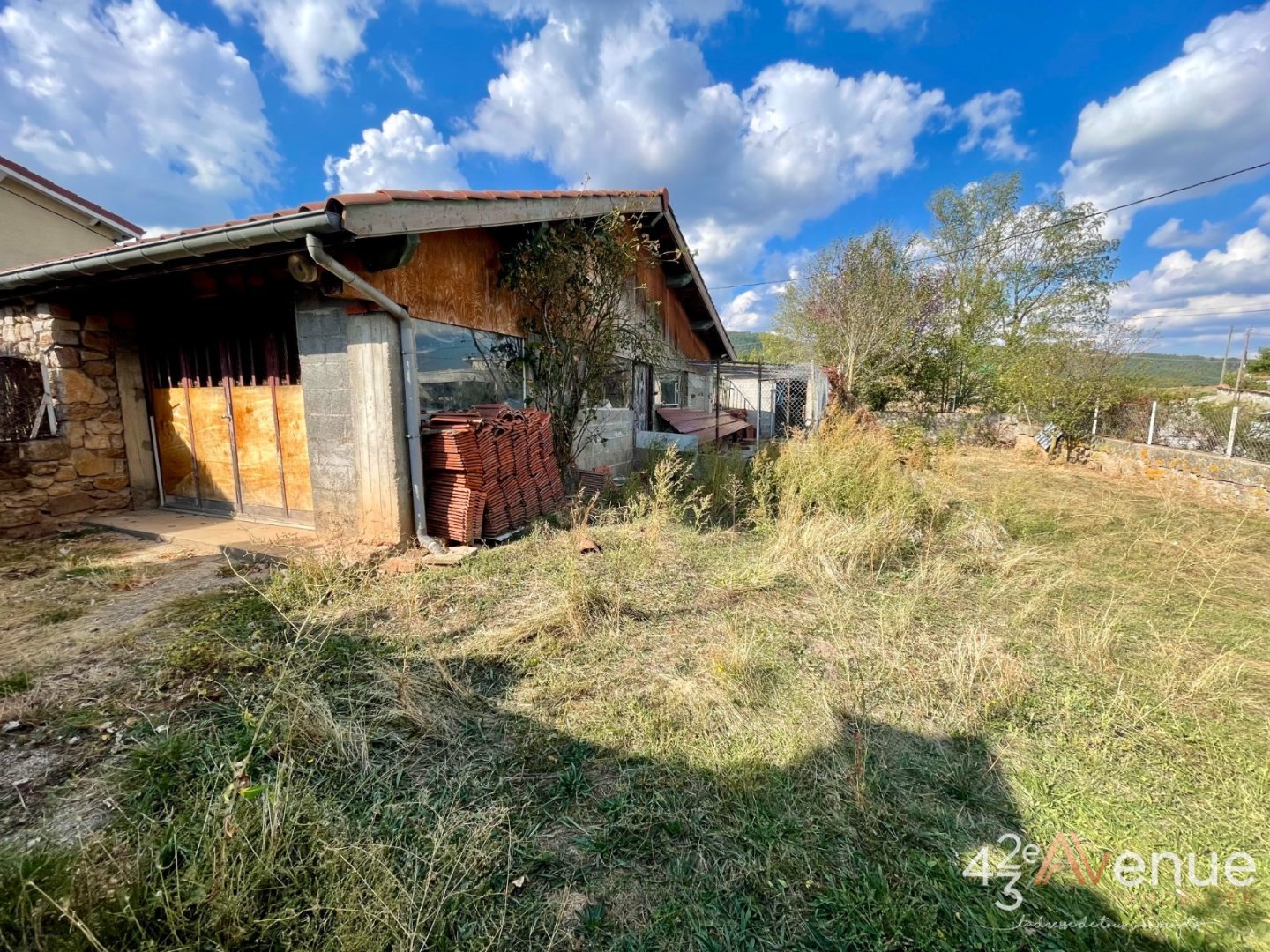 VENTE - Maison/villa - BAS EN BASSET (43210) - 189000 €