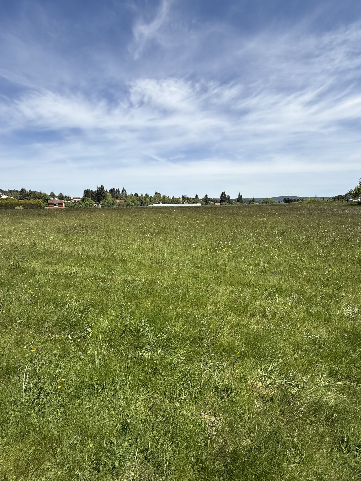 VENTE - Terrain - Saint-Pal-de-Mons (43620) - 80000 €