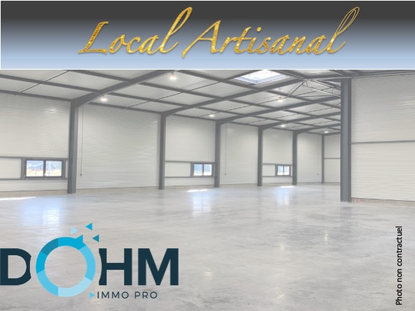 VENTE - Local - Monistrol-sur-Loire (43120) - 1300000 €
