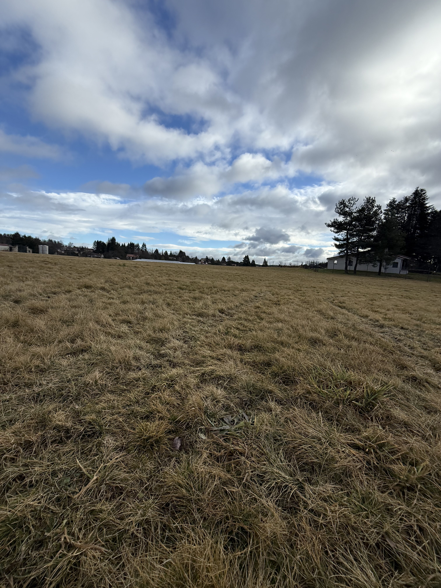 VENTE - Terrain - Saint-Pal-de-Mons (43620) - 90000 €