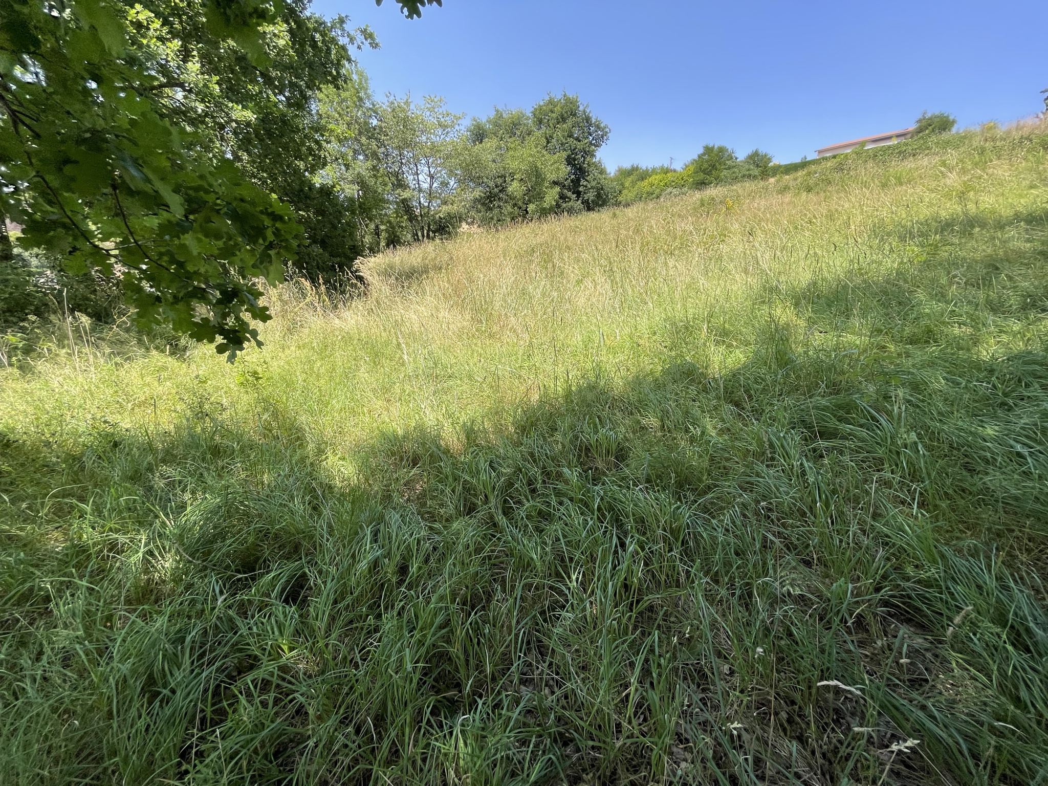 VENTE - Terrain - Unieux (42240) - 99000 €