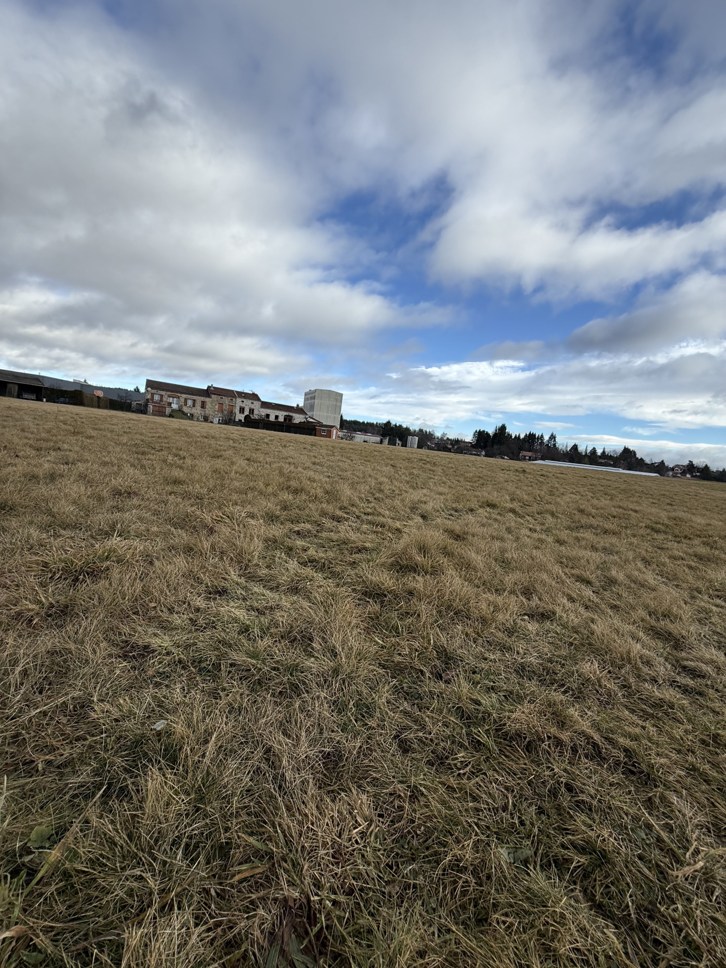 VENTE - Terrain - Saint-Pal-de-Mons (43620) - 65000 €