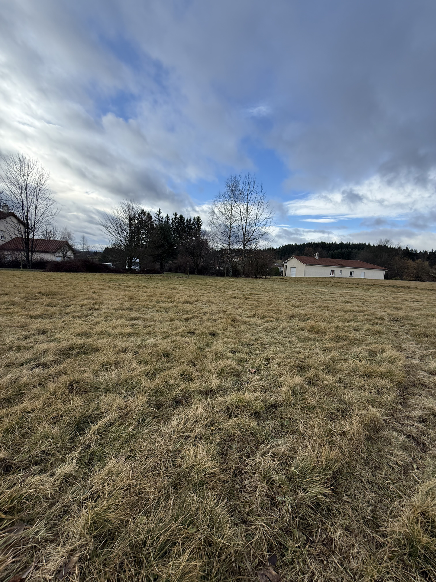 VENTE - Terrain - Saint-Pal-de-Mons (43620) - 72000 €