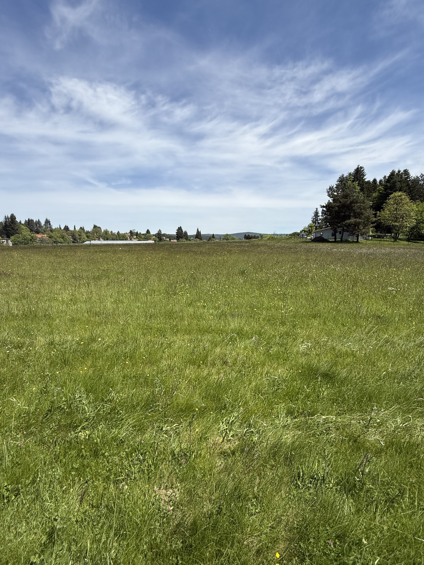 VENTE - Terrain - Saint-Pal-de-Mons (43620) - 80000 €