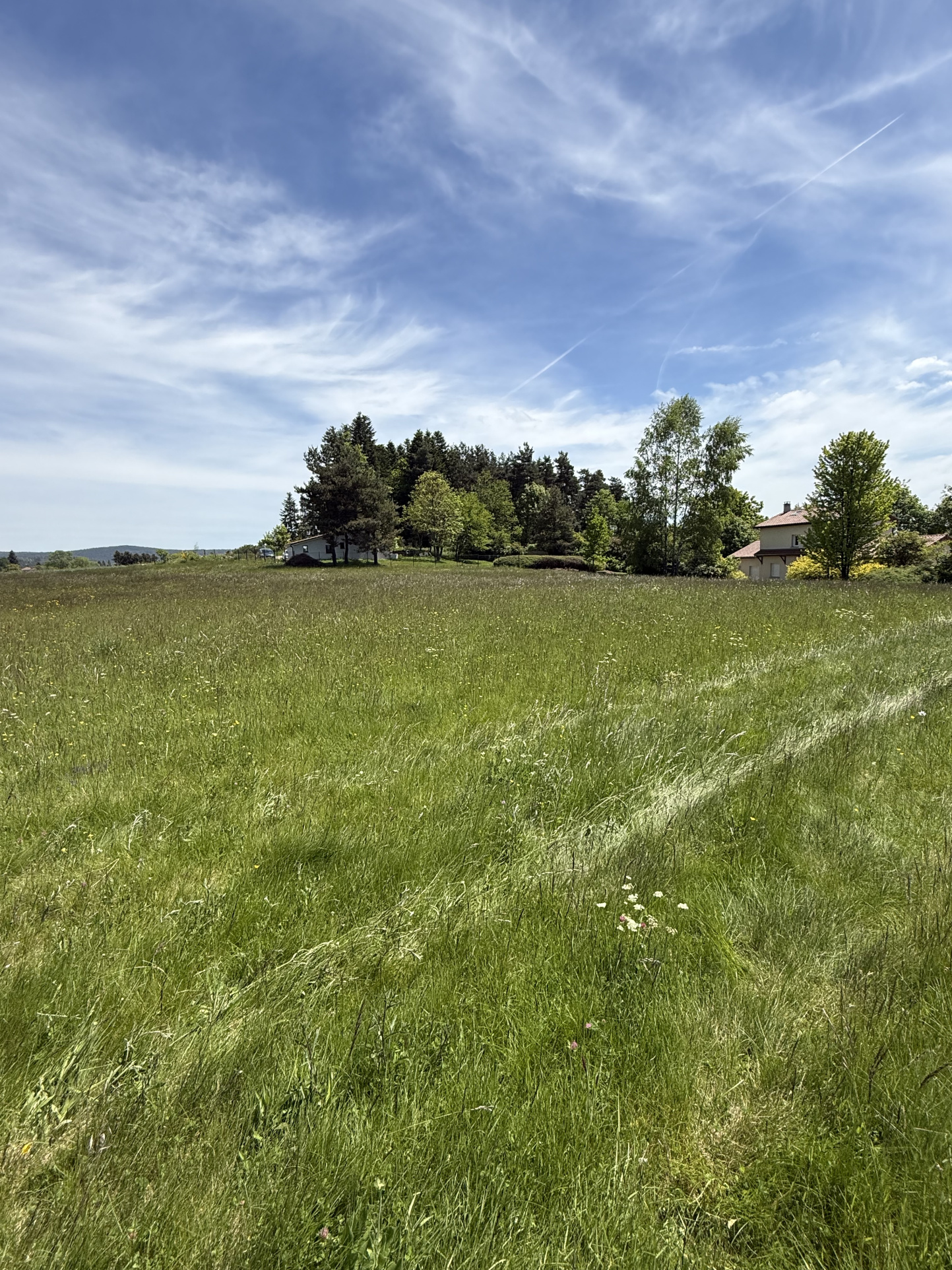VENTE - Terrain - Saint-Pal-de-Mons (43620) - 64000 €