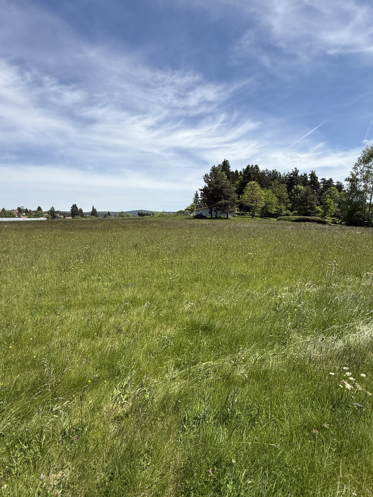 VENTE - Terrain - Saint-Pal-de-Mons (43620) - 62000 €