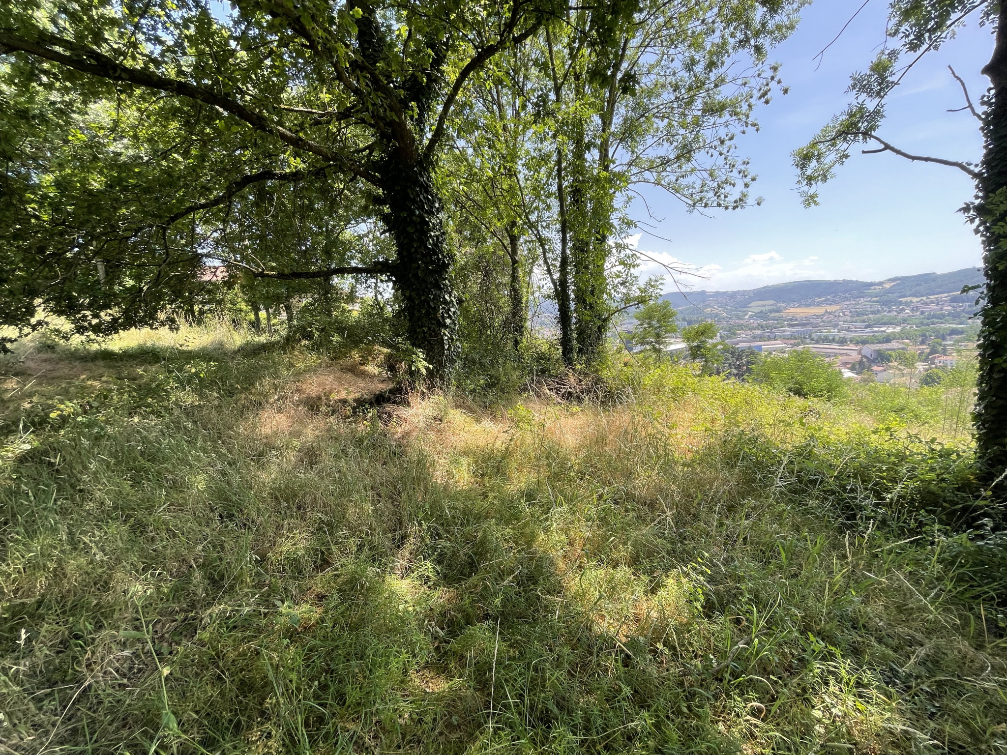 VENTE - Terrain - Unieux (42240) - 99000 €