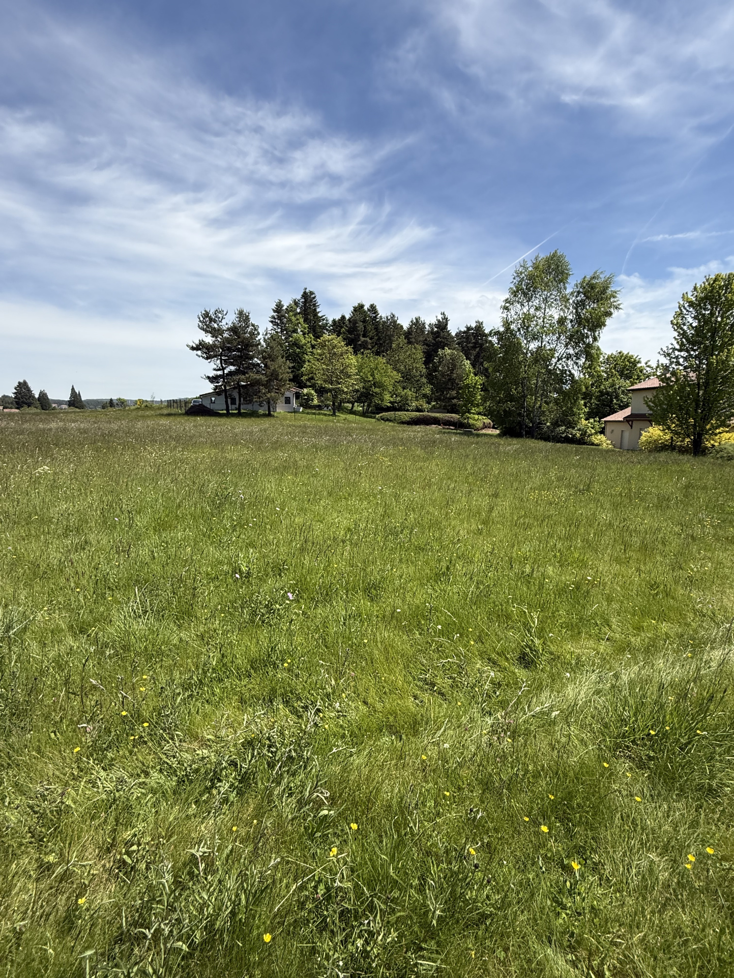 VENTE - Terrain - Saint-Pal-de-Mons (43620) - 62000 €
