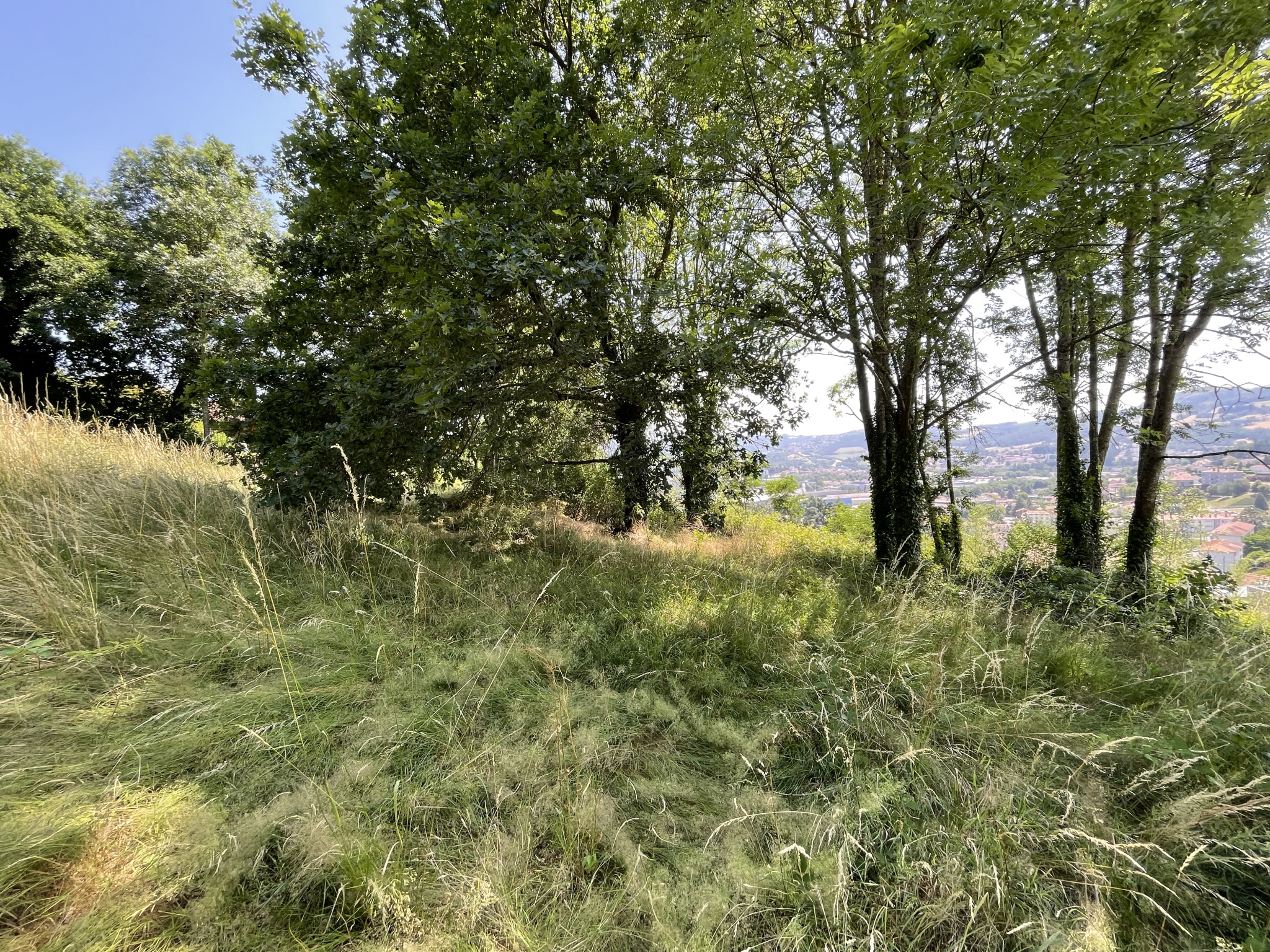 VENTE - Terrain - Unieux (42240) - 99000 €