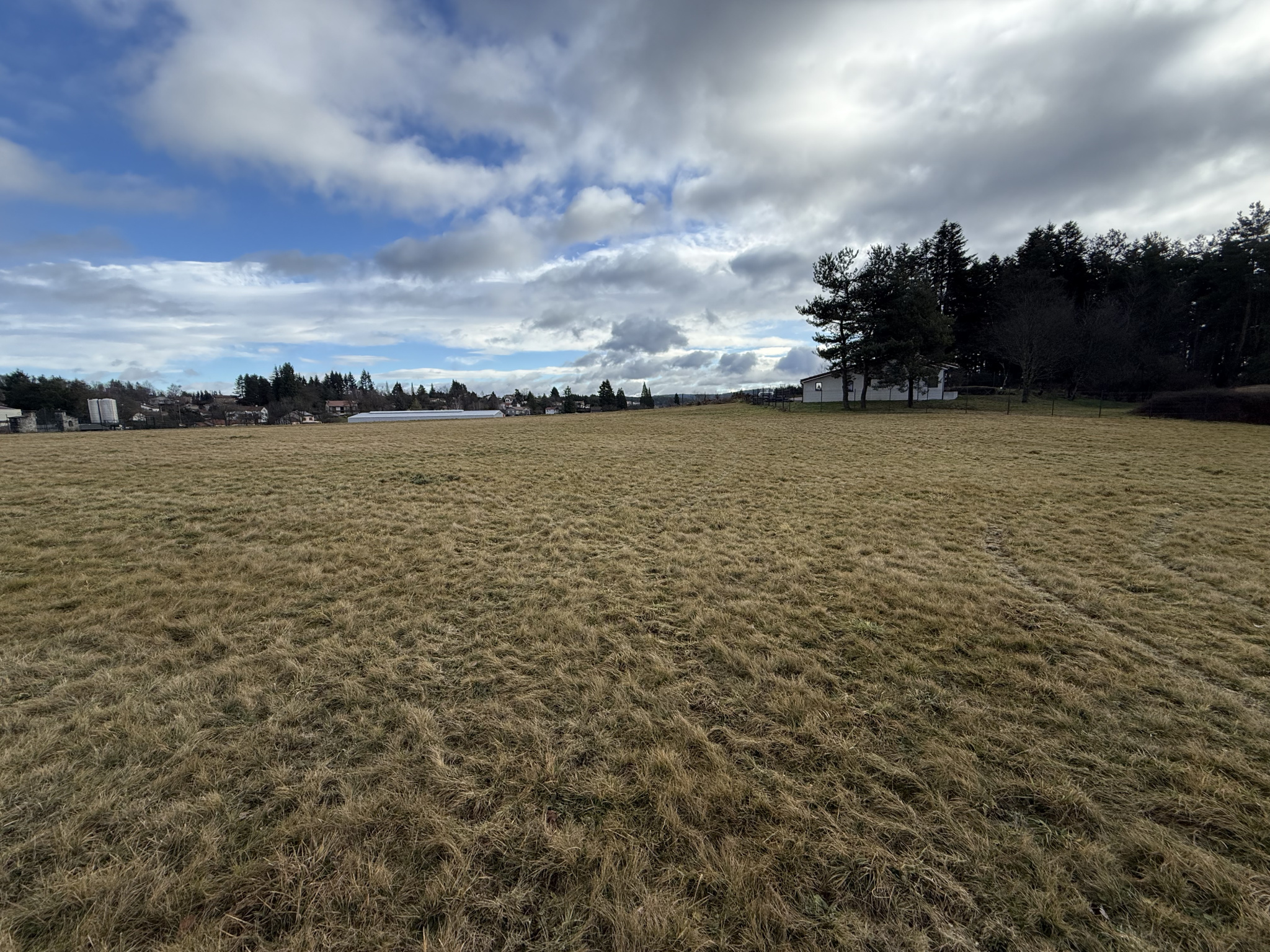 VENTE - Terrain - Saint-Pal-de-Mons (43620) - 90000 €