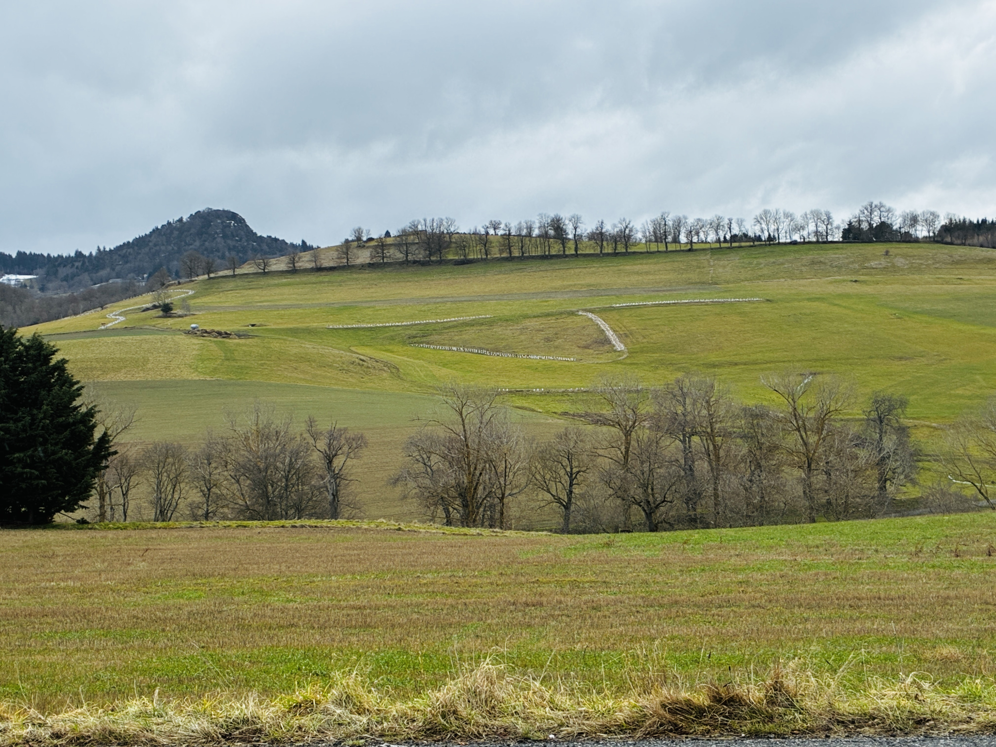 VENTE - Terrain - Yssingeaux (43200) - 69000 €