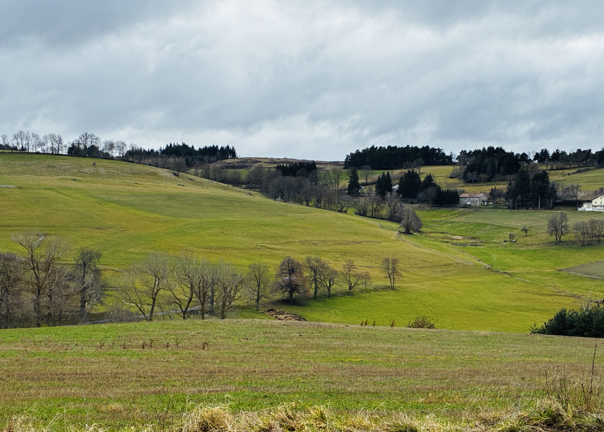 VENTE - Terrain - Yssingeaux (43200) - 69000 €