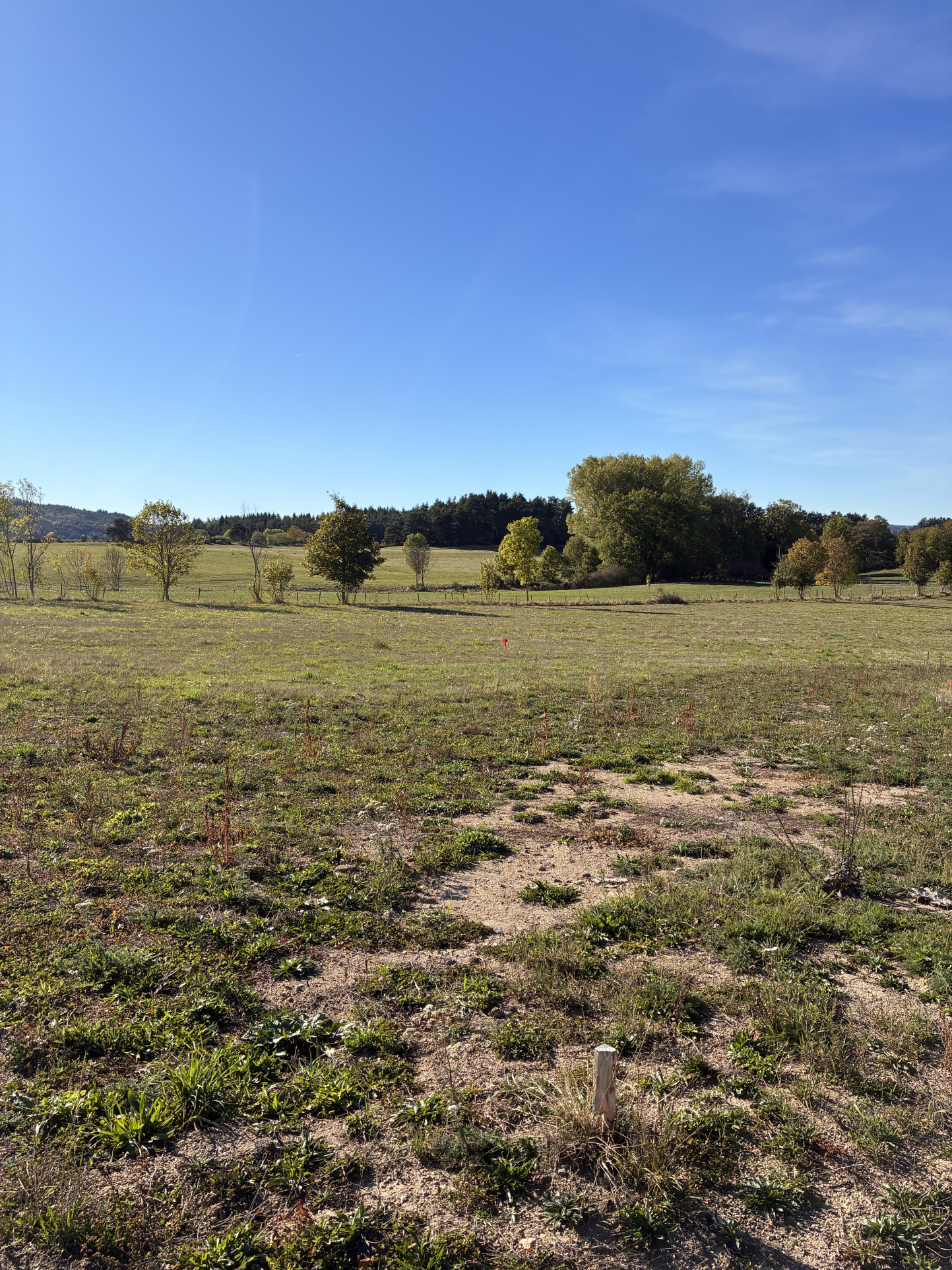 VENTE - Terrain - Lapte (43200) - 44000 €