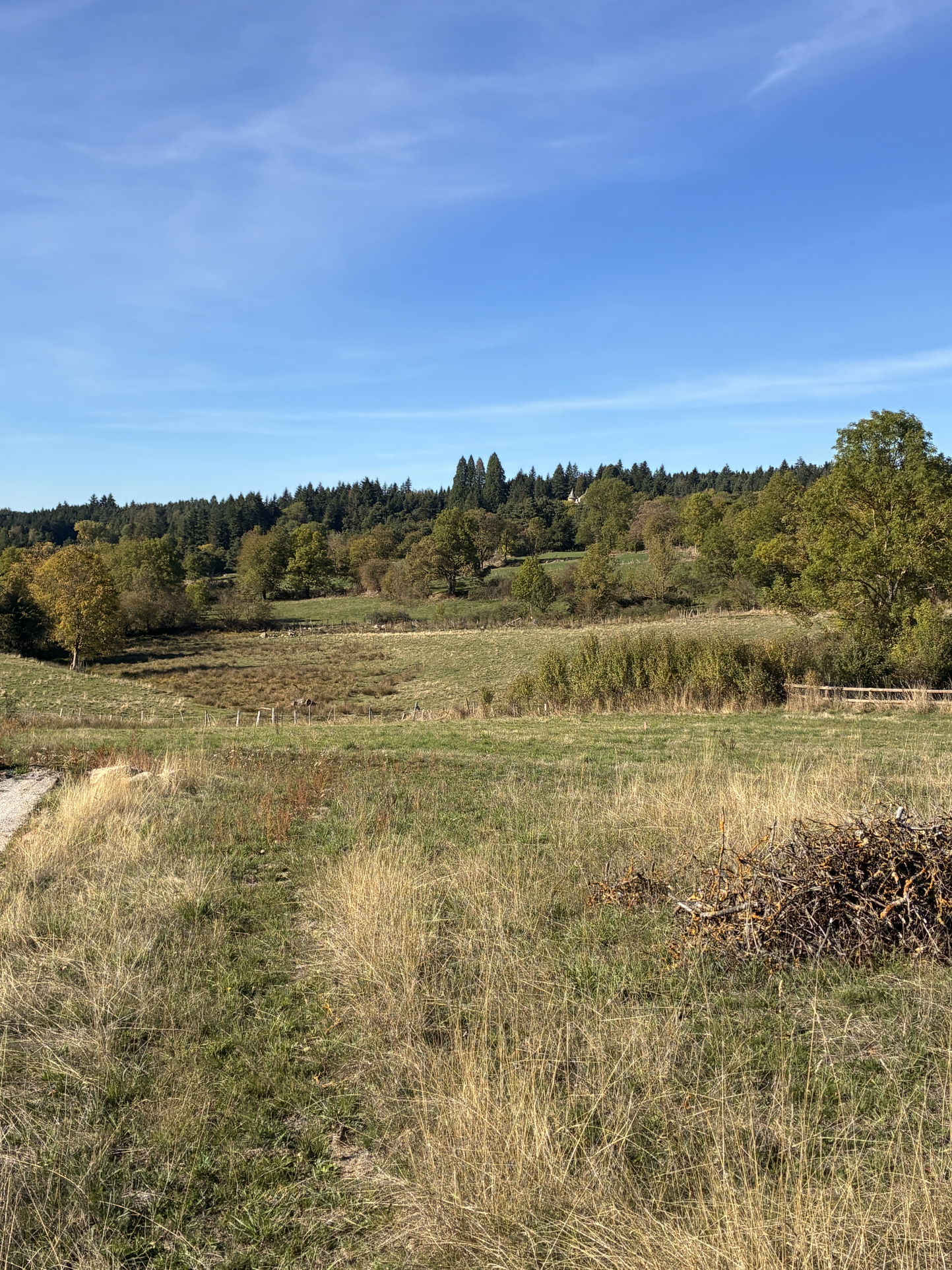 VENTE - Terrain - Lapte (43200) - 44000 €