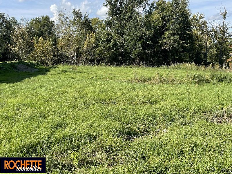 VENTE - Terrain - NERVIEUX (42510) - 55000 €