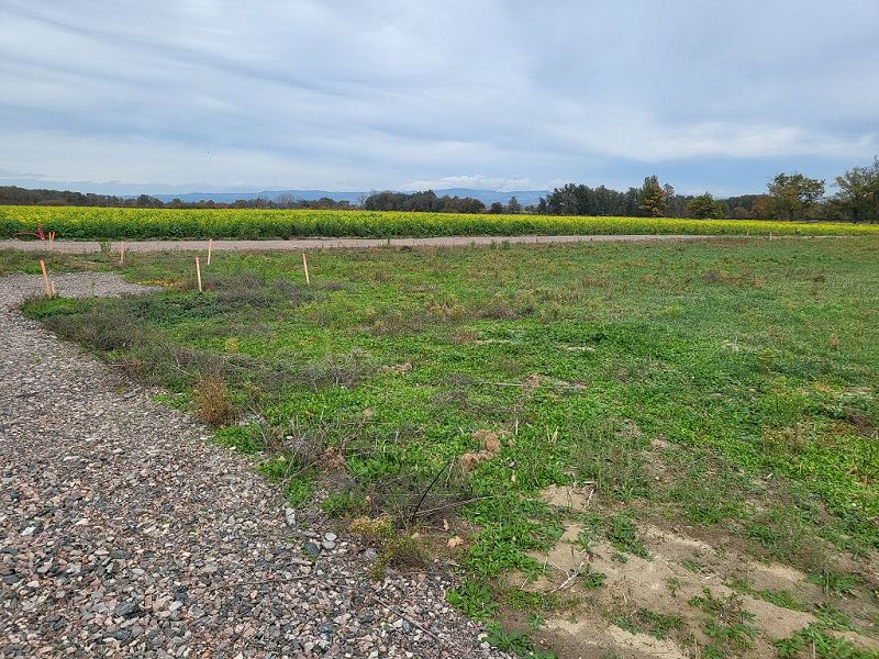 VENTE - Terrain - CHAMBEON (42110) - 124089 €