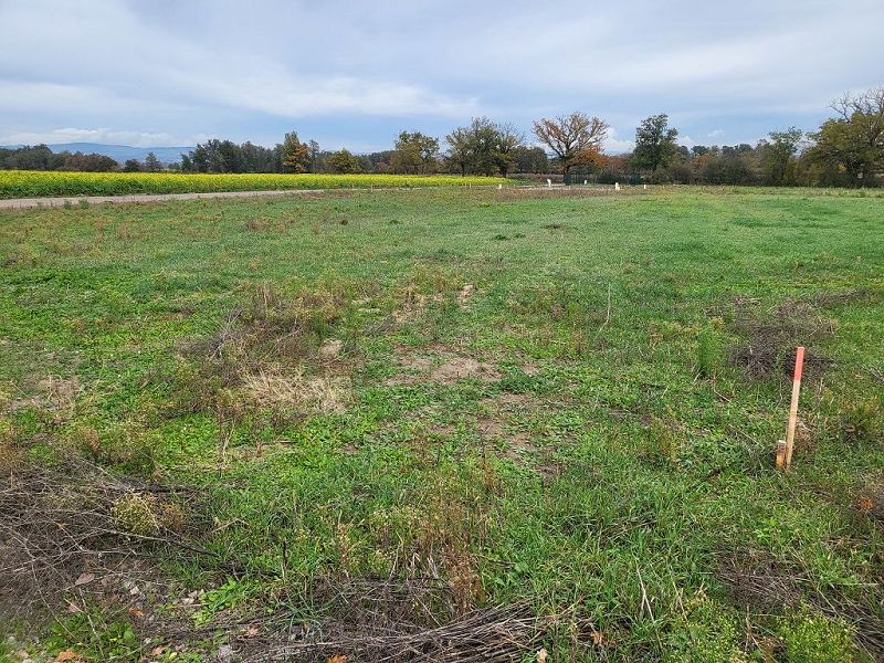 VENTE - Terrain - CHAMBEON (42110) - 124089 €