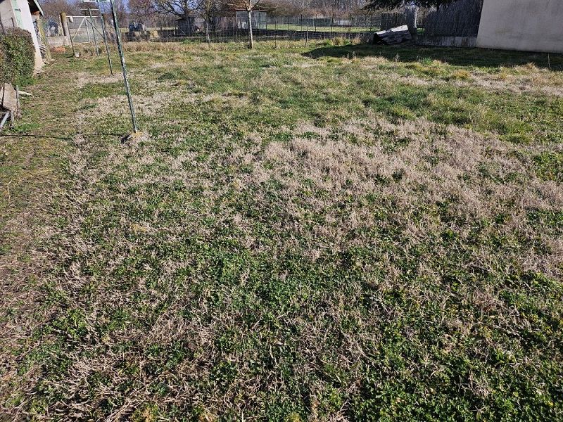 VENTE - Terrain - SAINT LAURENT LA CONCHE (42210) - 98000 €