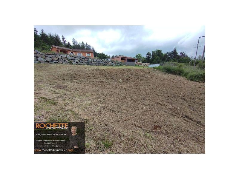 VENTE - Terrain - SAIL SOUS COUZAN (42890) - 41000 €