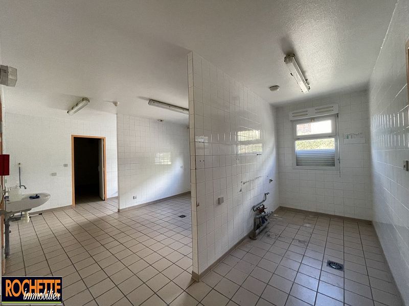VENTE - Local - BALBIGNY (42510) - 650000 €