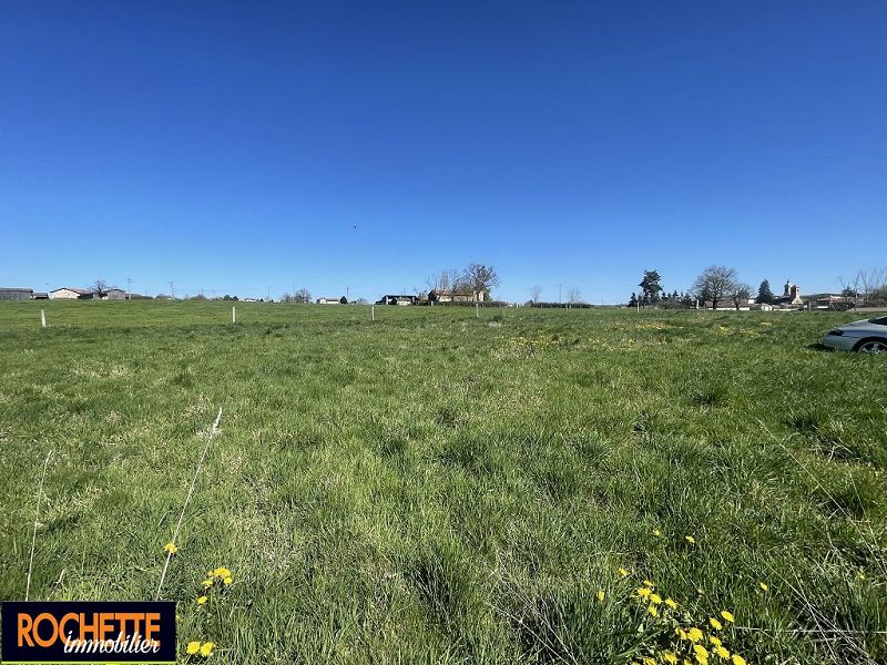 VENTE - Terrain - SAINT JODARD (42590) - 65000 €