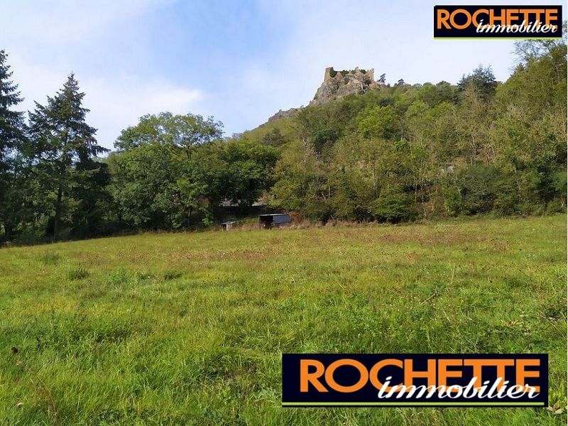 VENTE - Terrain - SAIL SOUS COUZAN (42890) - 35000 €