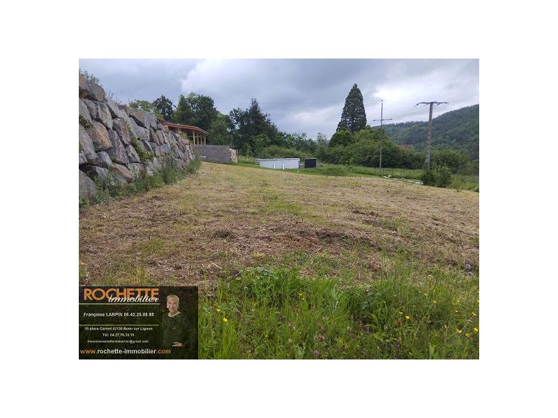 VENTE - Terrain - SAIL SOUS COUZAN (42890) - 41000 €