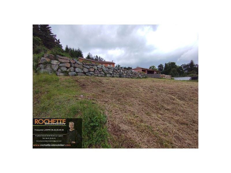 VENTE - Terrain - SAIL SOUS COUZAN (42890) - 41000 €