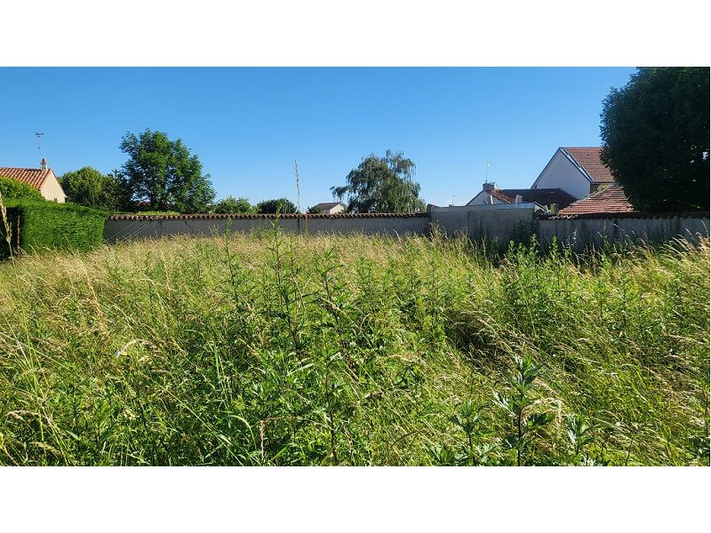 VENTE - Terrain - CHALAIN LE COMTAL (42600) - 81000 €