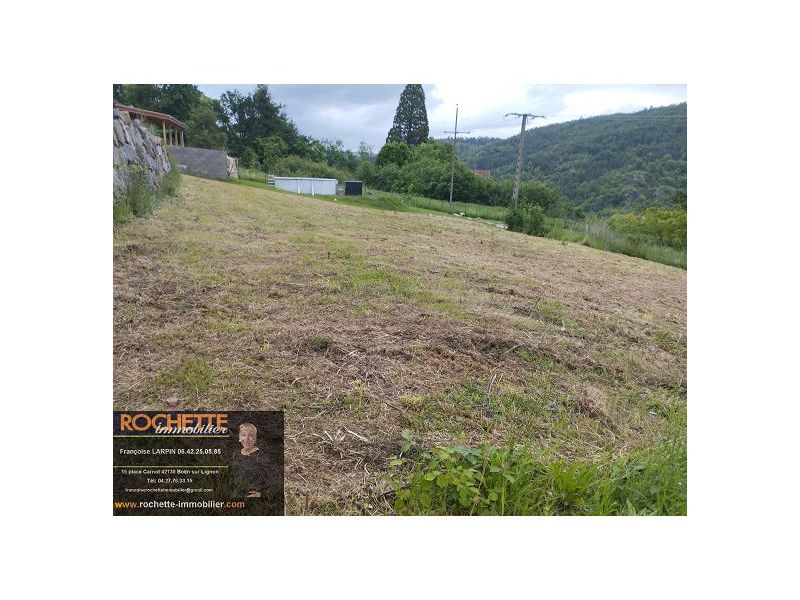 VENTE - Terrain - SAIL SOUS COUZAN (42890) - 41000 €