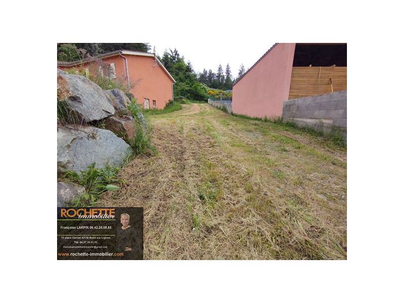 VENTE - Terrain - SAIL SOUS COUZAN (42890) - 41000 €