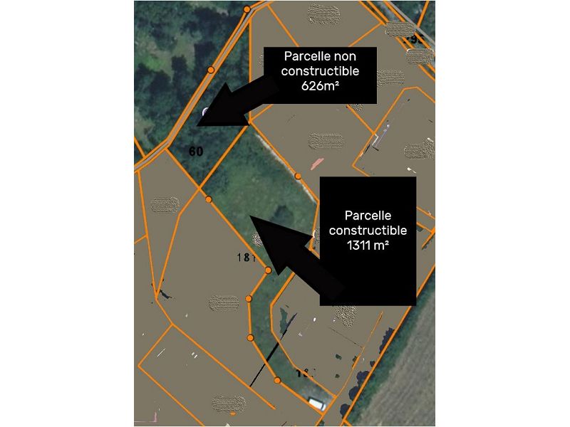 VENTE - Terrain - NERVIEUX (42510) - 55000 €
