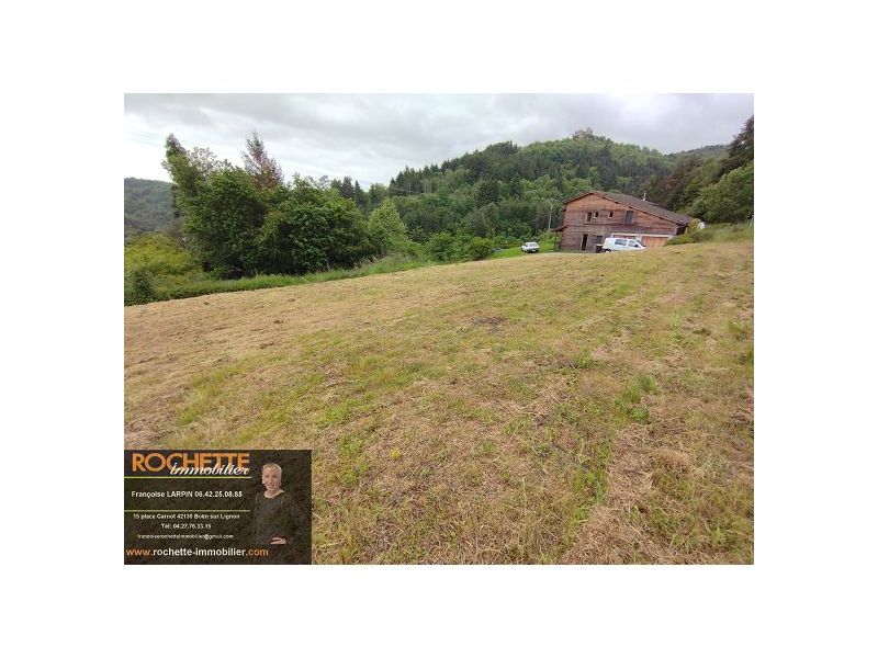 VENTE - Terrain - SAIL SOUS COUZAN (42890) - 41000 €