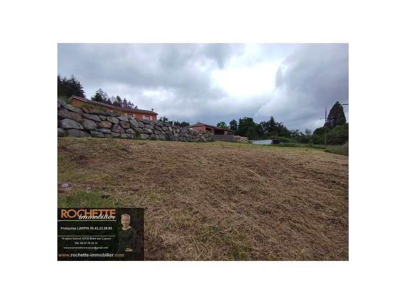 VENTE - Terrain - SAIL SOUS COUZAN (42890) - 41000 €
