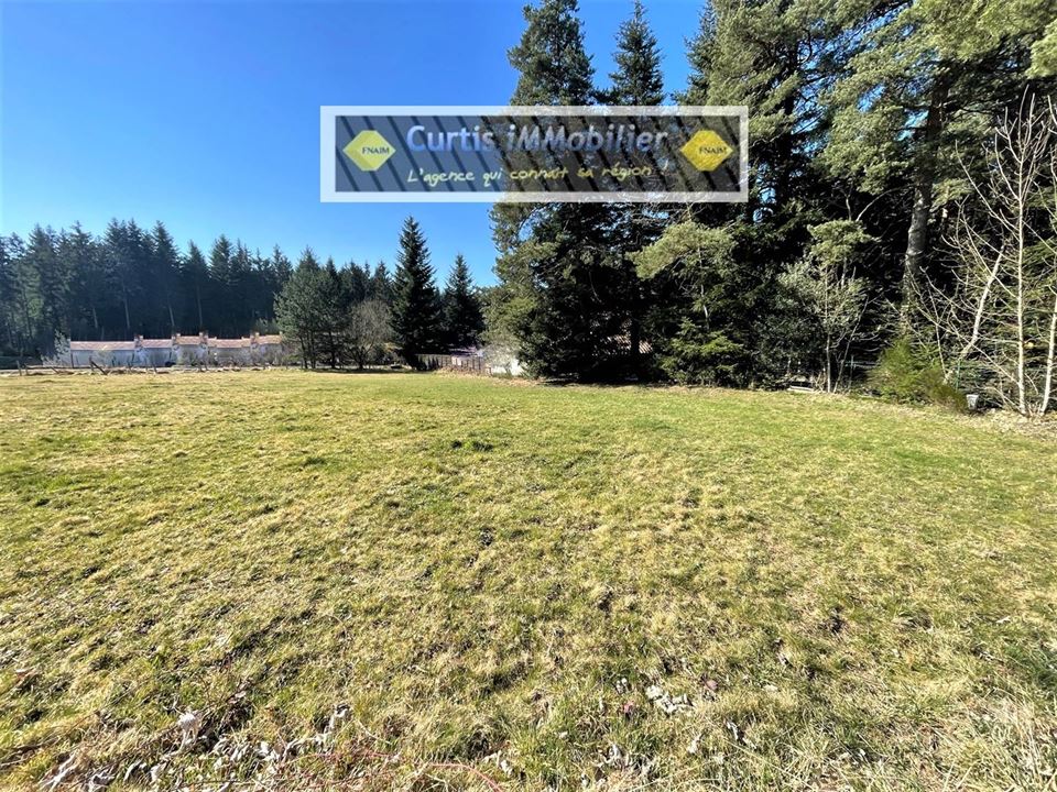 VENTE - Terrain - ST PAL DE MONS (43620) - 54000 €