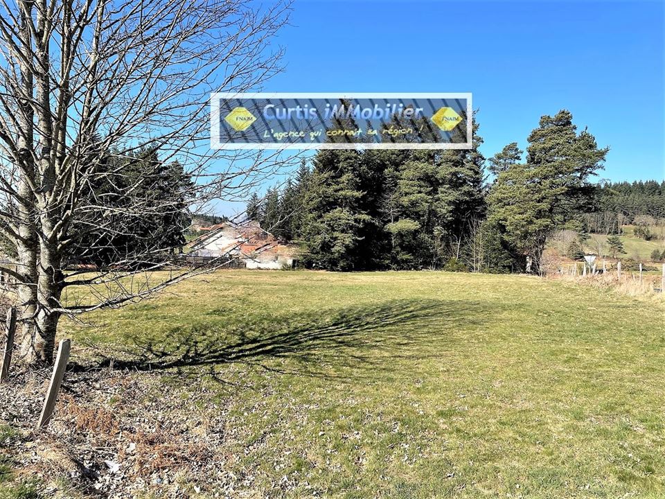 VENTE - Terrain - ST PAL DE MONS (43620) - 54000 €