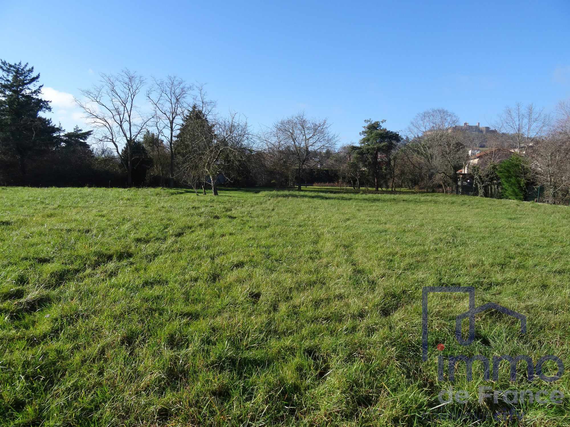 VENTE - Terrain - Marcilly-le-Châtel (42130) - 79000.00 €