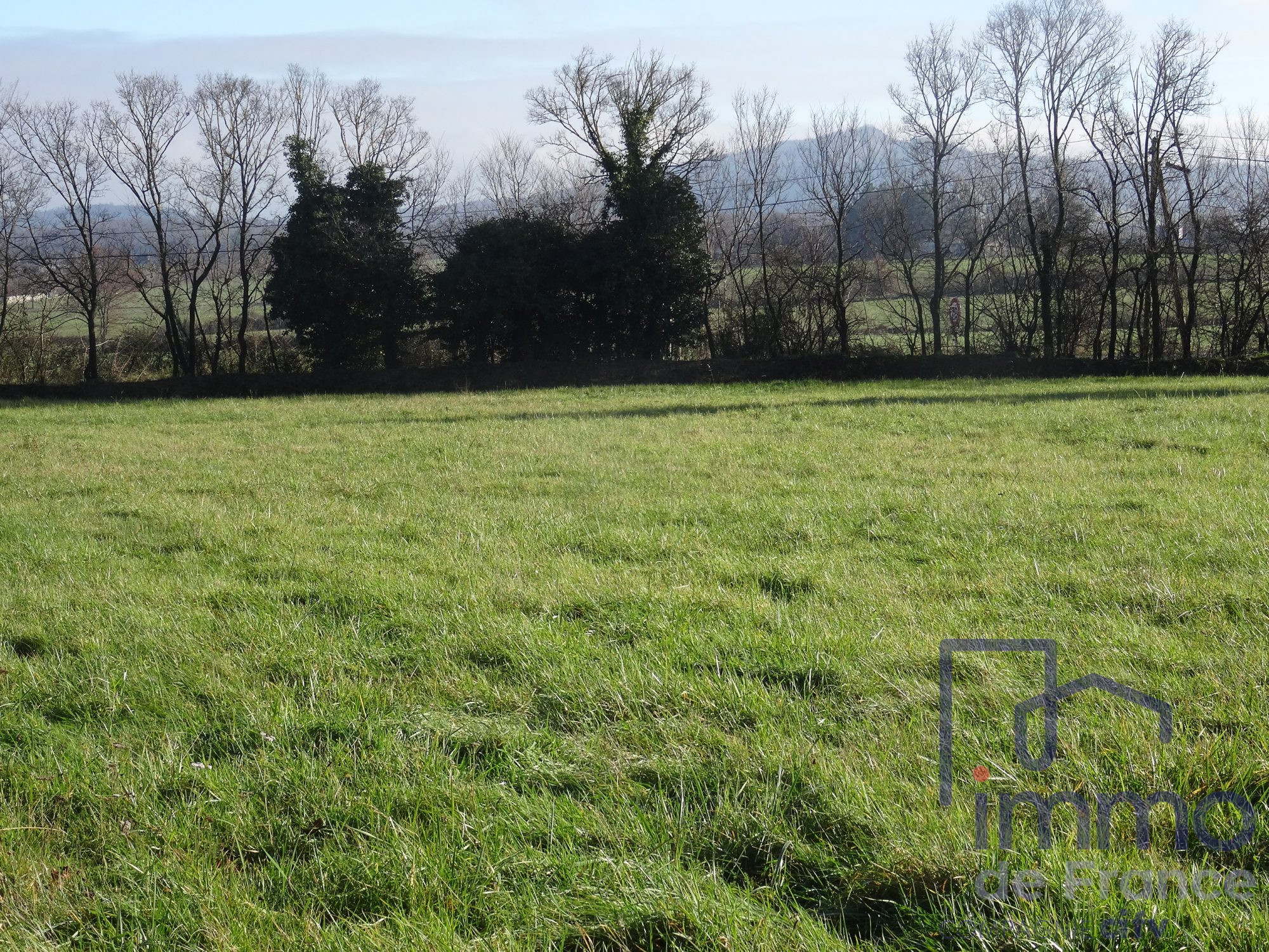VENTE - Terrain - Montbrison (42600) - 79000.00 €
