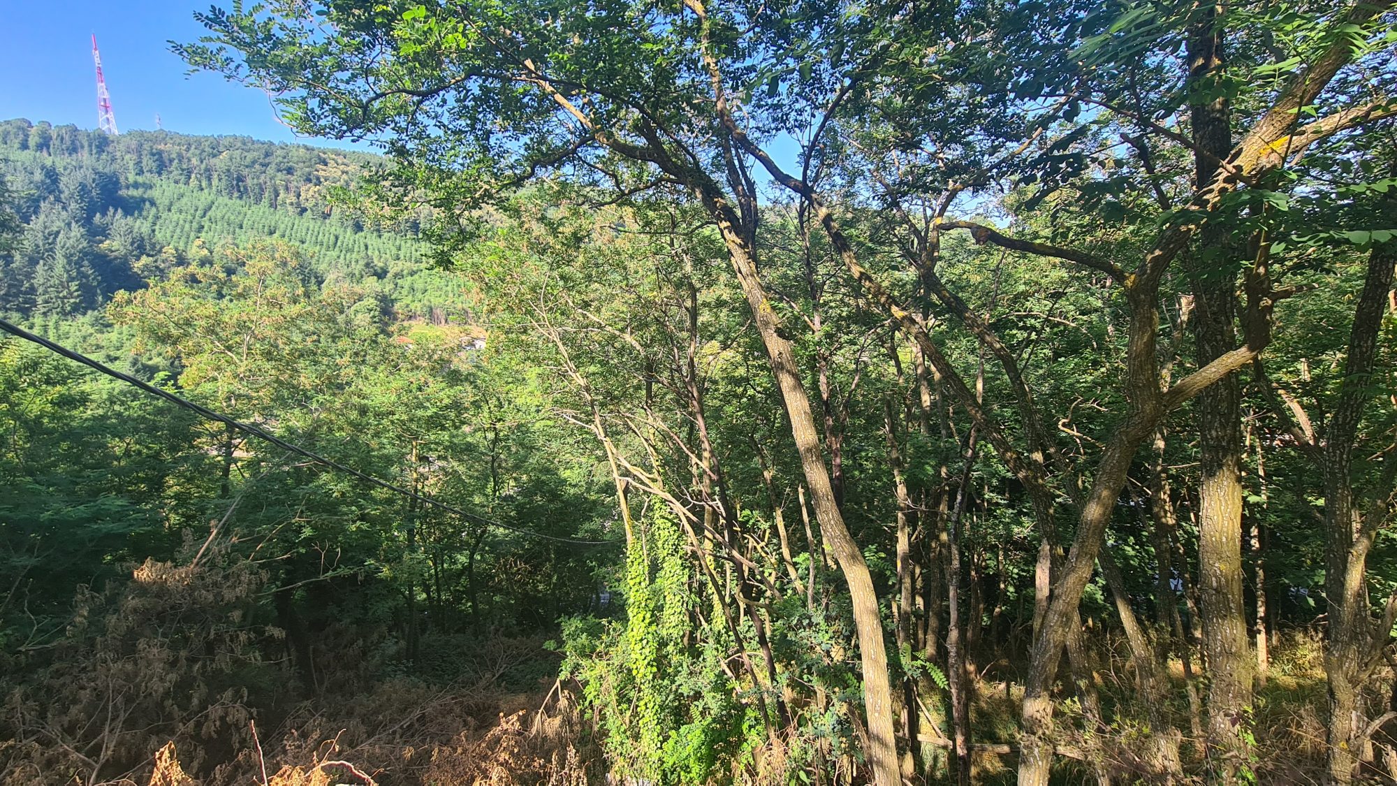 VENTE - Terrain - Saint-Étienne (42000) - 28000 €