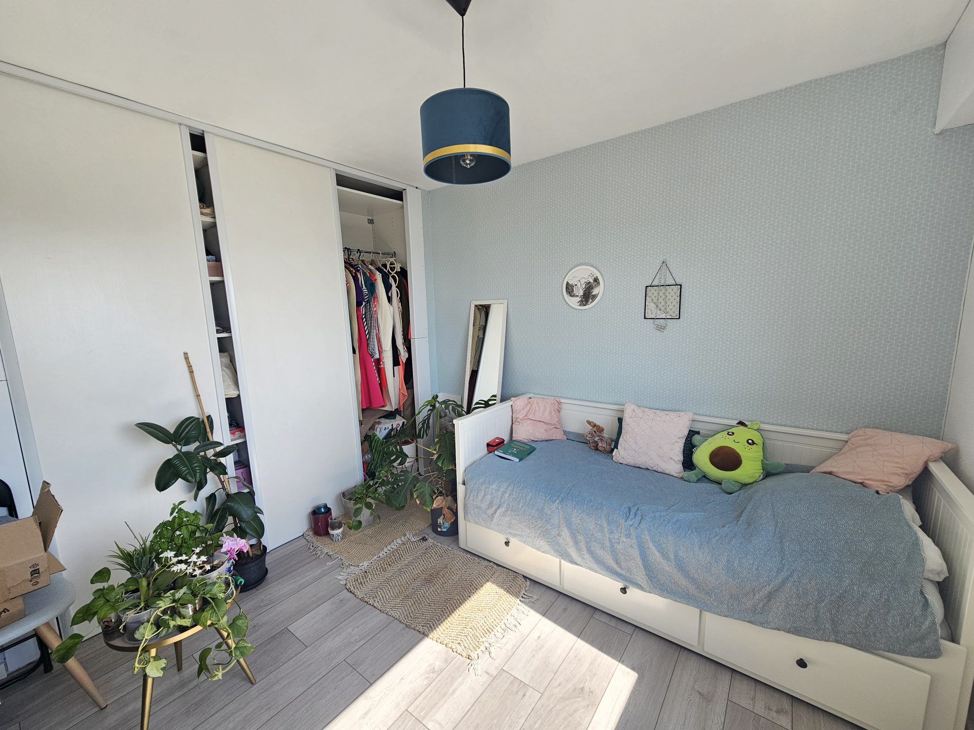 LOCATION - Appartement - Saint-Priest-en-Jarez (42270) - 730 €