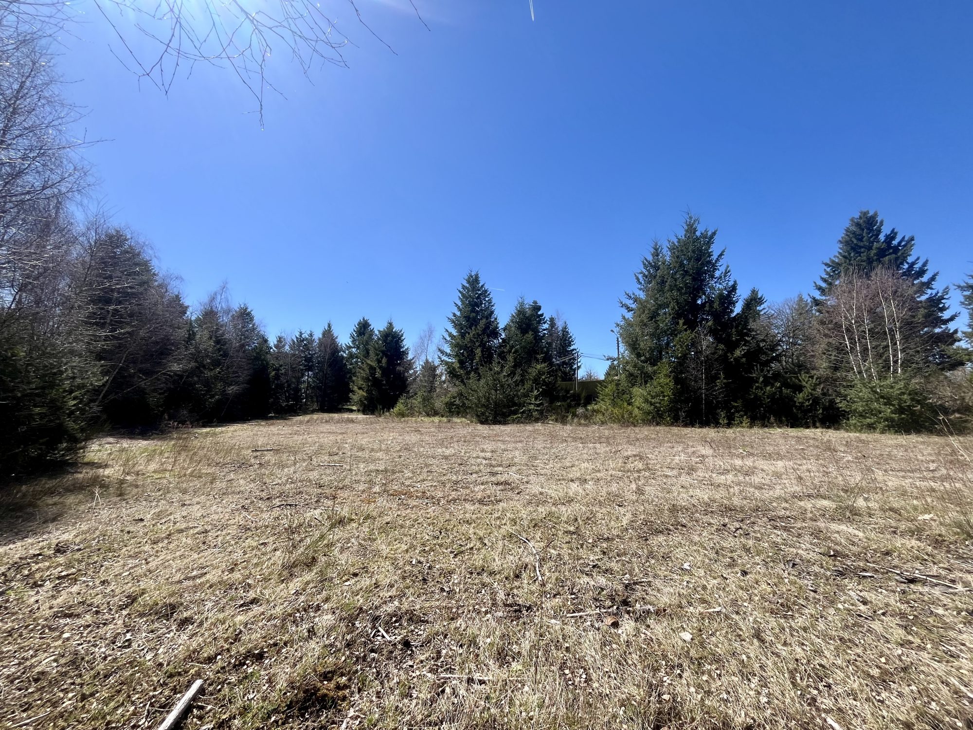 VENTE - Terrain - Usson-en-Forez (42550) - 150000 €