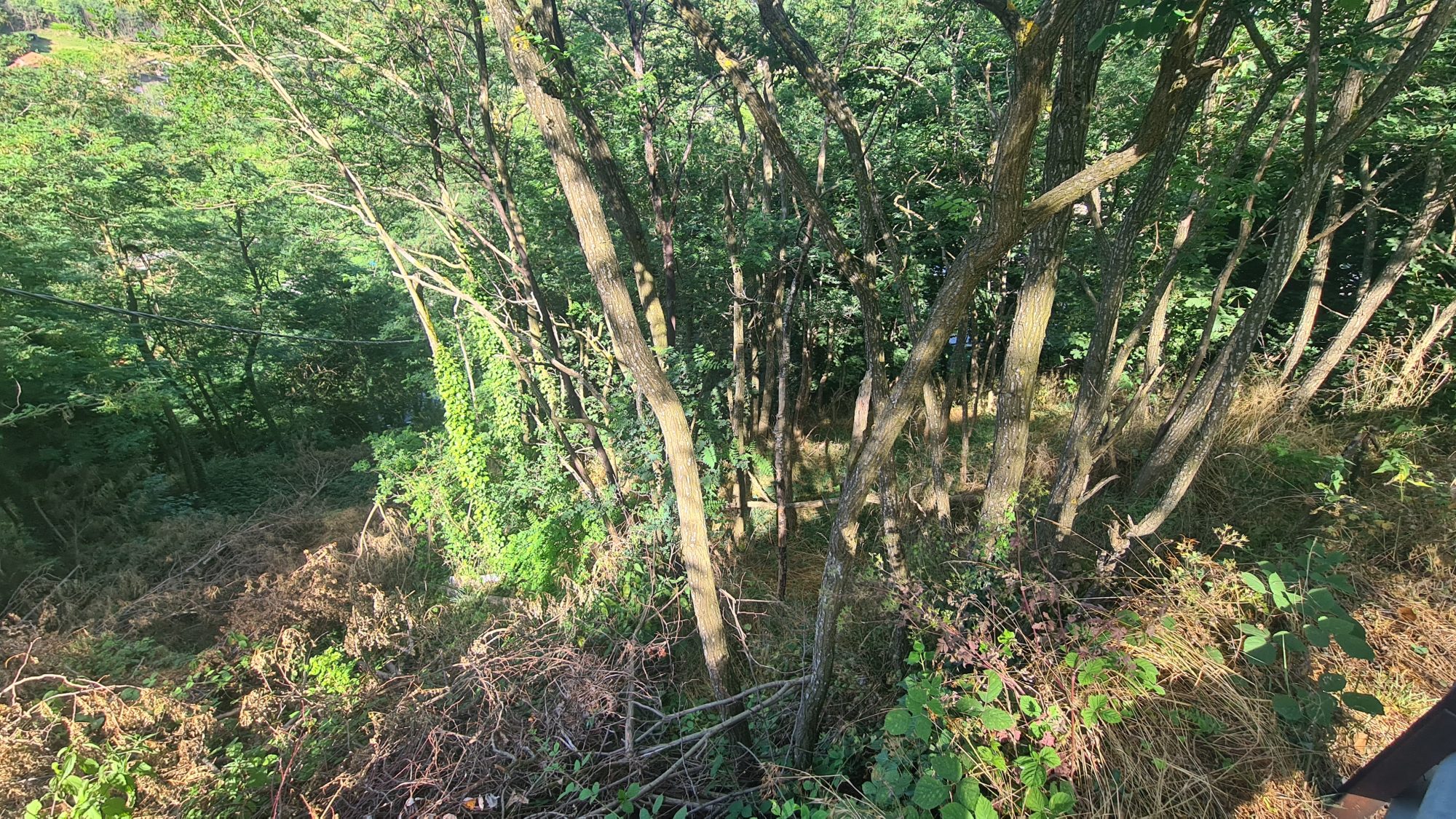 VENTE - Terrain - Saint-Étienne (42000) - 28000 €